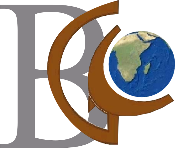 svg icon